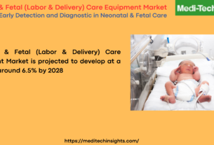 Neonatal & Fetal (Labor & Delivery) Care Equipment Market