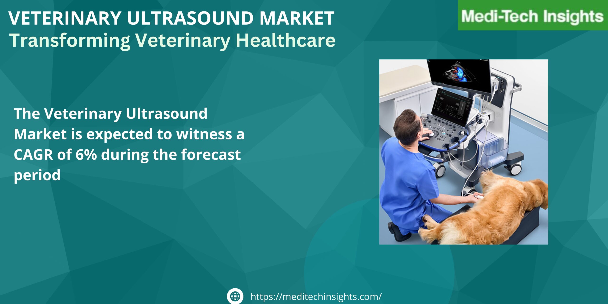 Veterinary Ultrasound Market