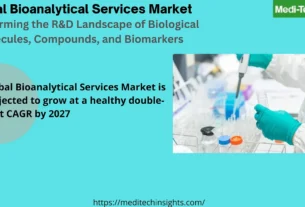 Global Bioanalytical Services Market