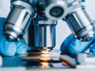 Microscopy Market Size, Share, Industry Trends, Growth Factors and Forecast 2025-2030