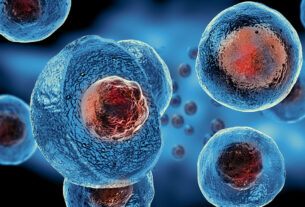 Stem Cell Therapy Market